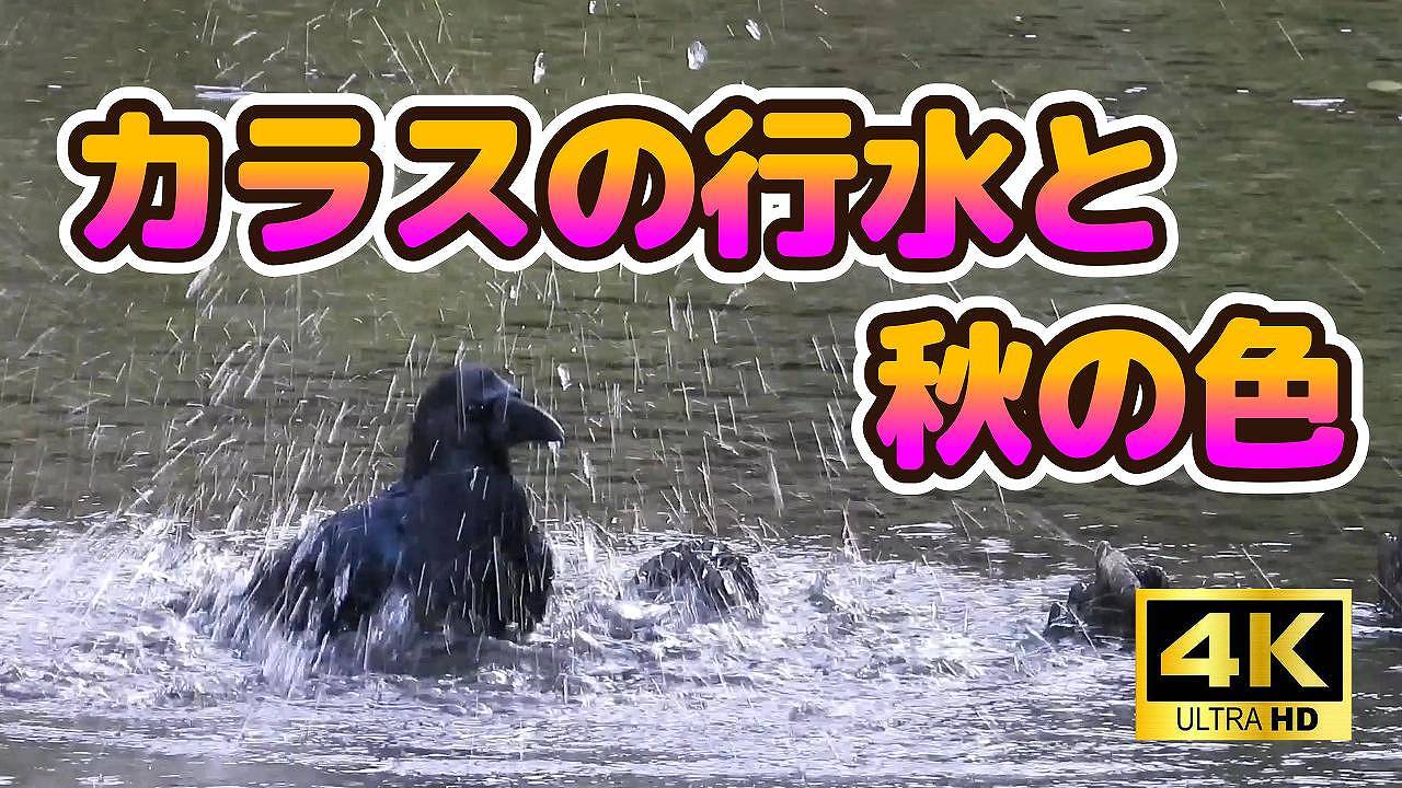 1758763854.jpg 1280 x 720