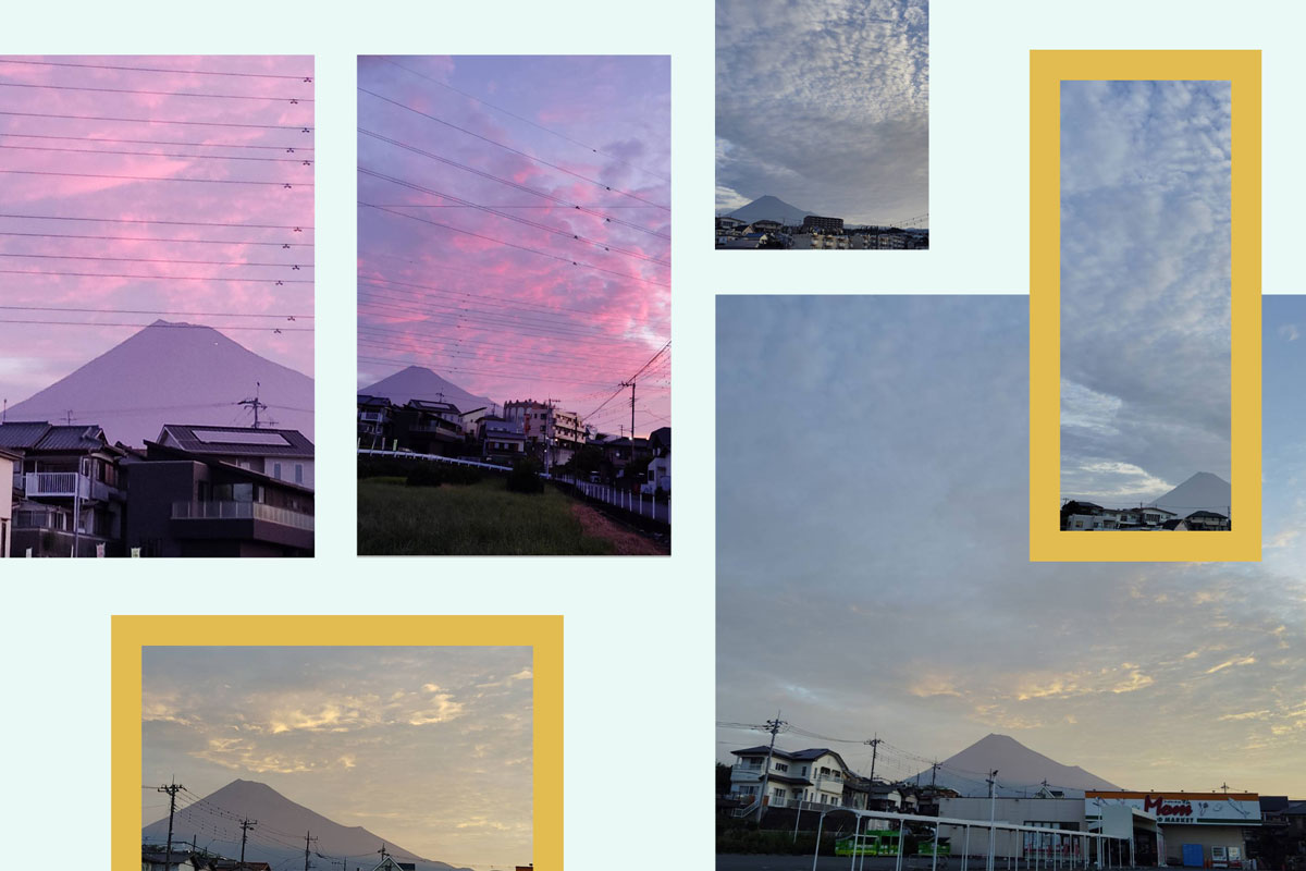 10035_1.jpg : 126 KB