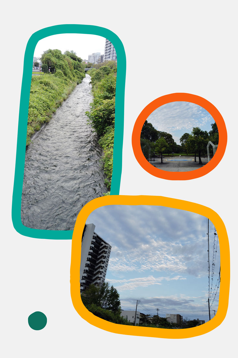 10062_1.jpg : 164 KB