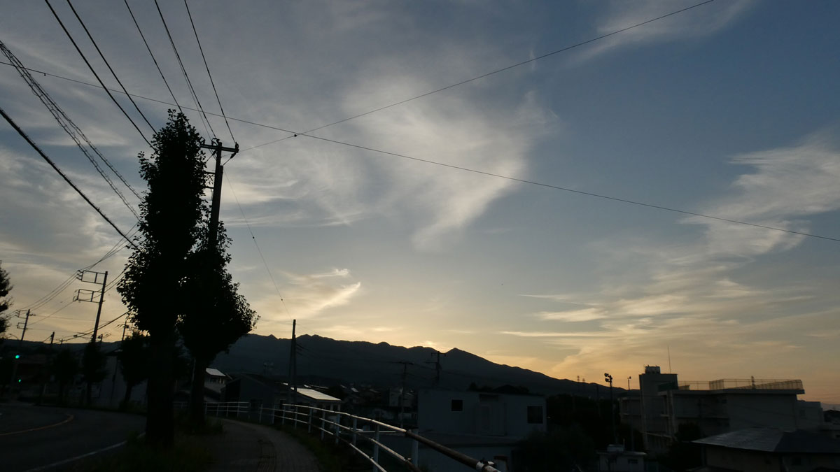 10095_1.jpg : 83 KB
