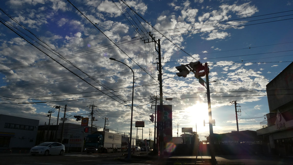 10128_1.jpg : 172 KB