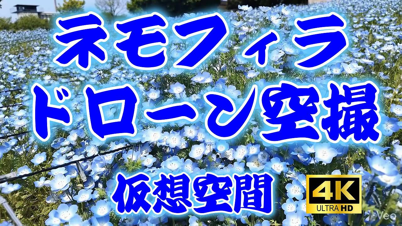 9744_1.jpg : 247 KB
