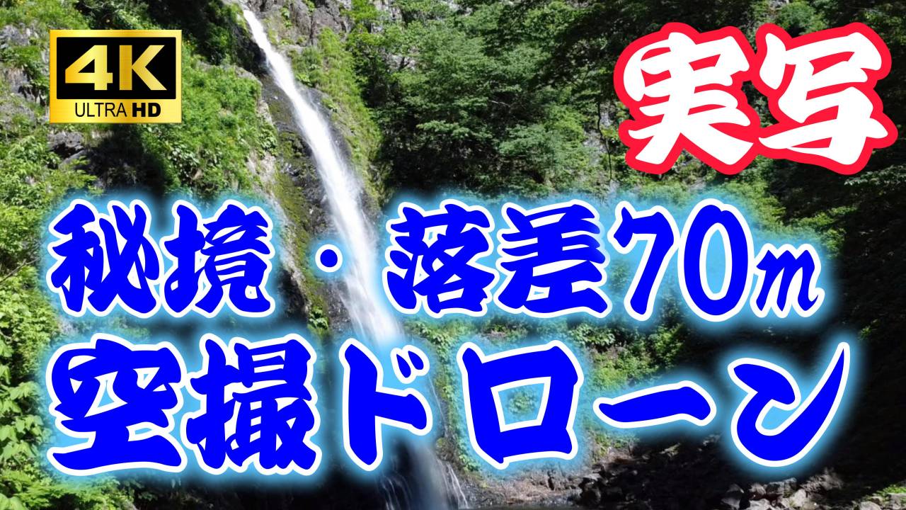 9831_1.jpg : 192 KB