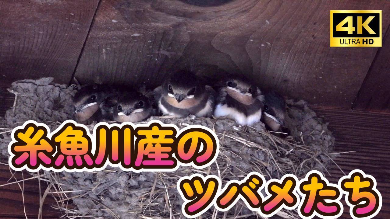 9836_1.jpg : 150 KB